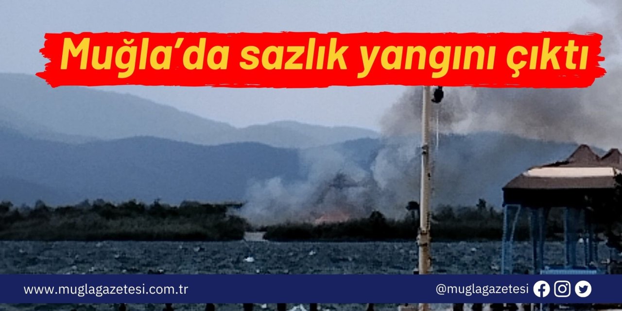 Muğla’da sazlık yangını çıktı