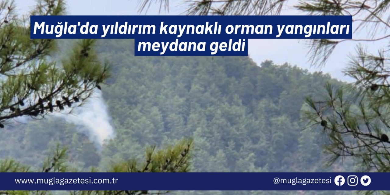 Muğla'da yıldırım kaynaklı orman yangınları meydana geldi
