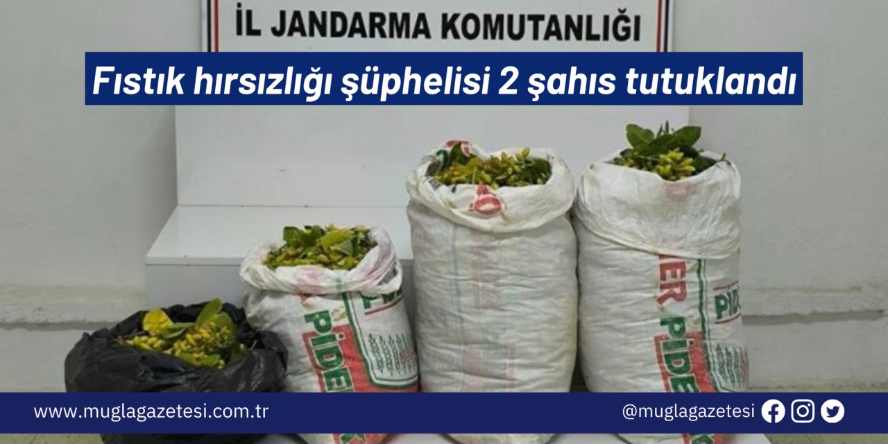 Fıstık hırsızlığı şüphelisi 2 şahıs tutuklandı