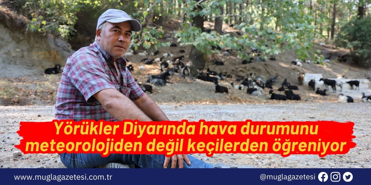 Yörükler Diyarında hava durumunu meteorolojiden değil keçilerden öğreniyor