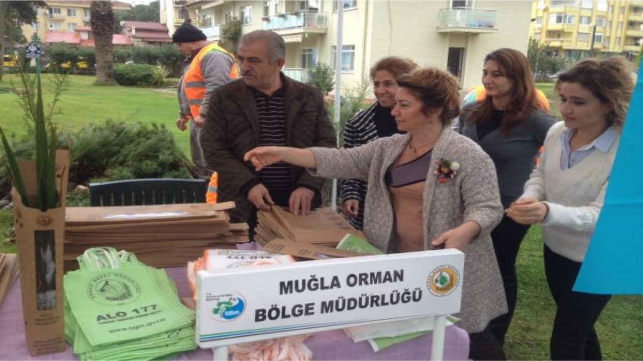 Ücretsiz fidan dağıtımı