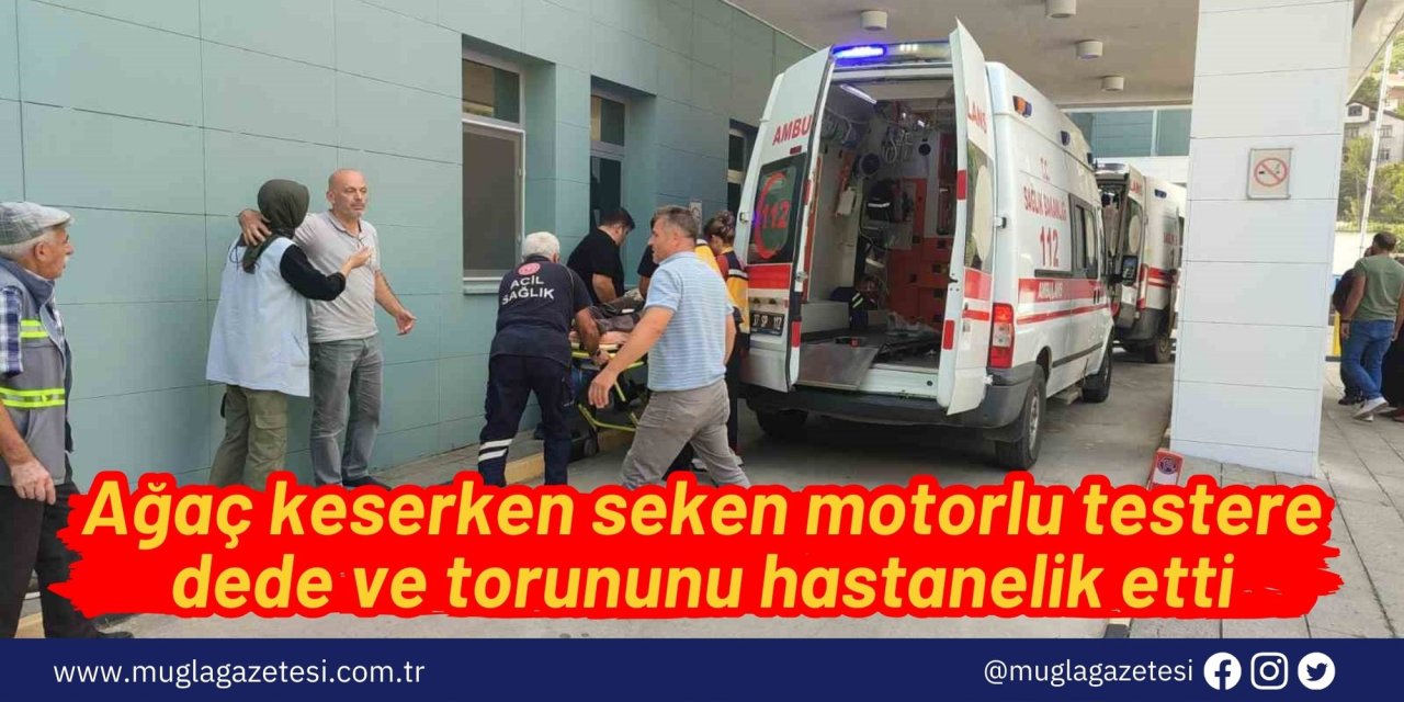 Ağaç keserken seken motorlu testere dede ve torununu hastanelik etti