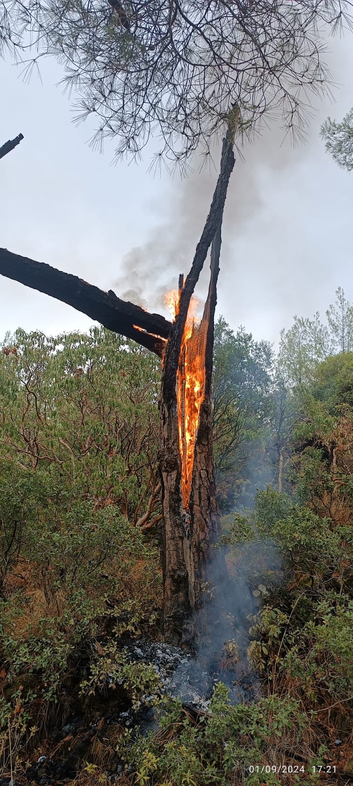 Muğla’da Eylül yağmurları yıldırım yangınları da beraberinde getirdi