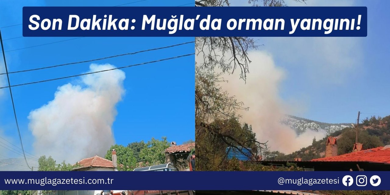 Son Dakika: Muğla’da orman yangını!