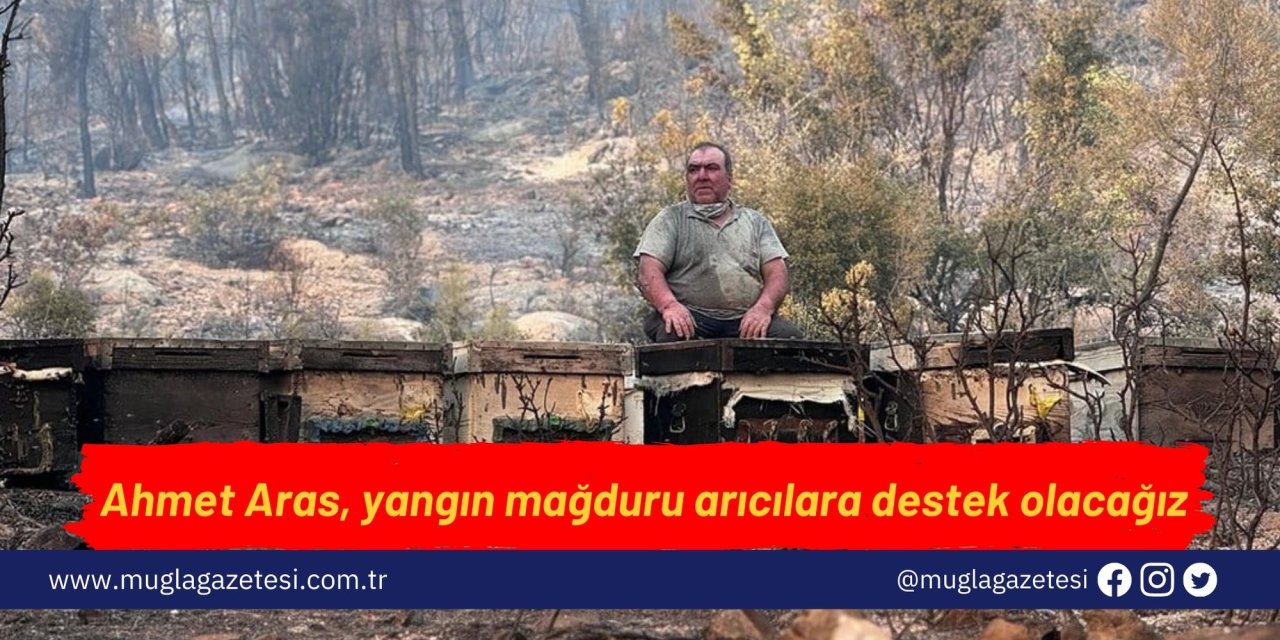 Ahmet Aras, yangın mağduru arıcılara destek olacağız