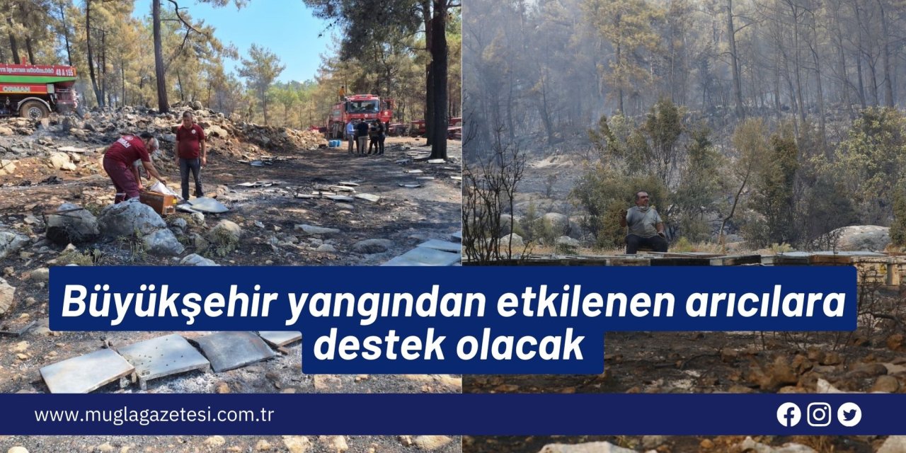 Büyükşehir yangından etkilenen arıcılara destek olacak