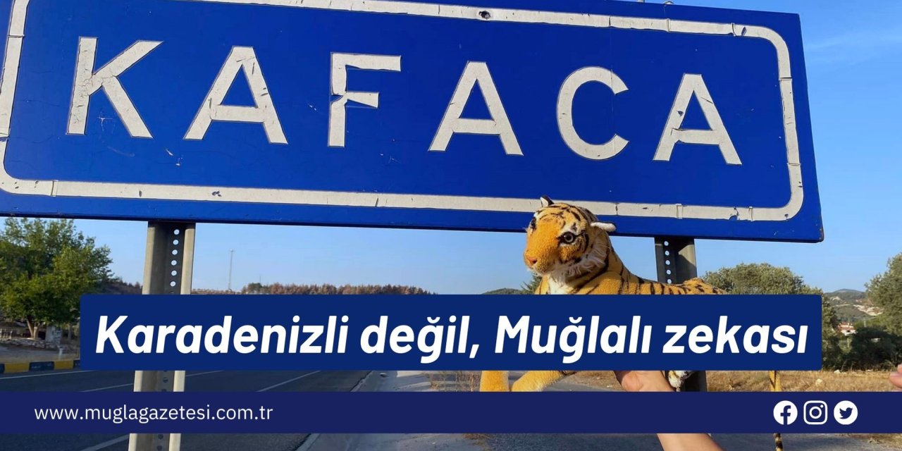 Karadenizli değil, Muğlalı zekası
