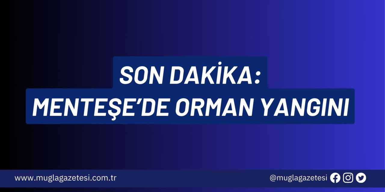 SON DAKİKA: MENTEŞE'DE ORMAN YANGINI