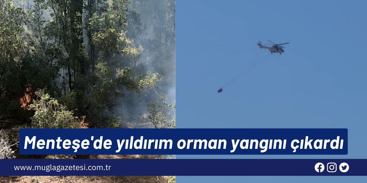 Menteşe'de yıldırım orman yangını çıkardı