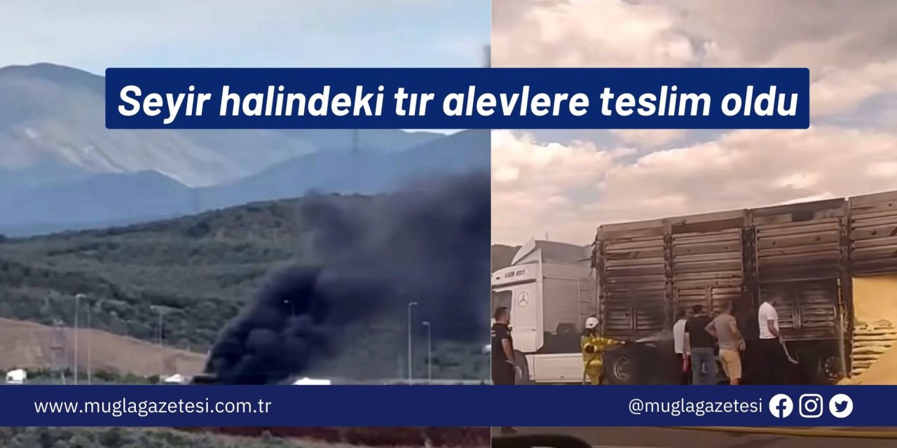Seyir halindeki tır alevlere teslim oldu