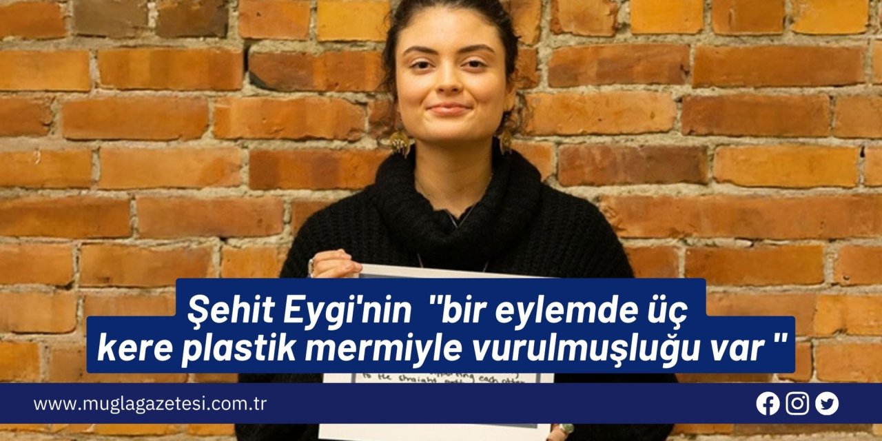 Şehit Eygi, bir eylemde üç kere plastik mermiyle vurulmuş