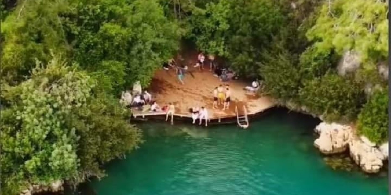 Akyaka'da denize girenlerin üzerine  ağaç devrildi