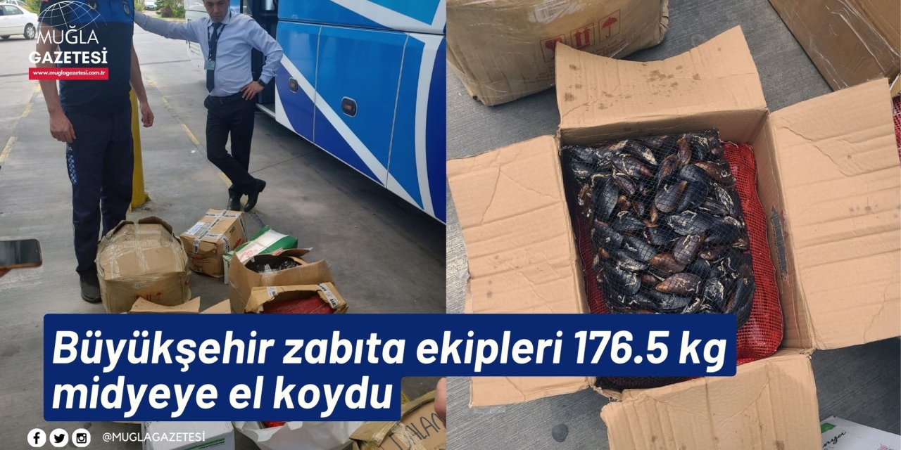 Büyükşehir zabıta ekipleri 176.5 kg midyeye el koydu
