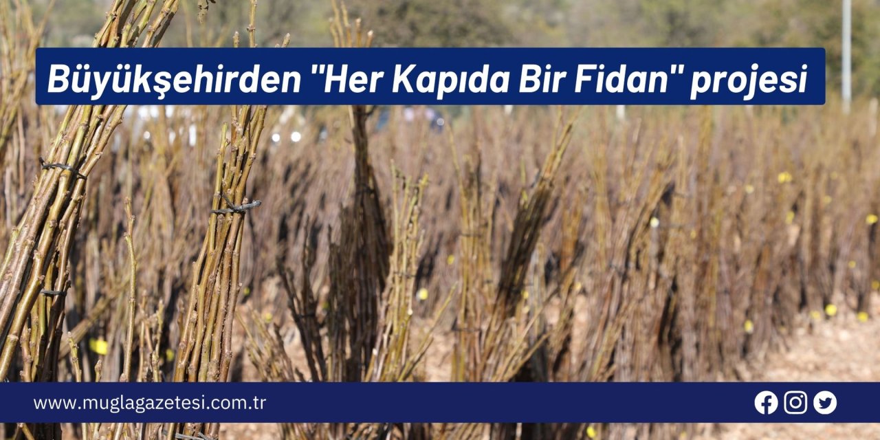 Büyükşehirden 