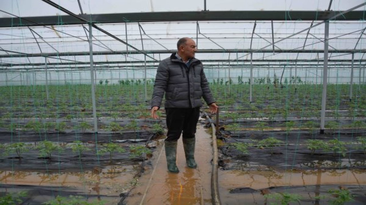 Narenciye bahçesi ve seralar sular altında kaldı