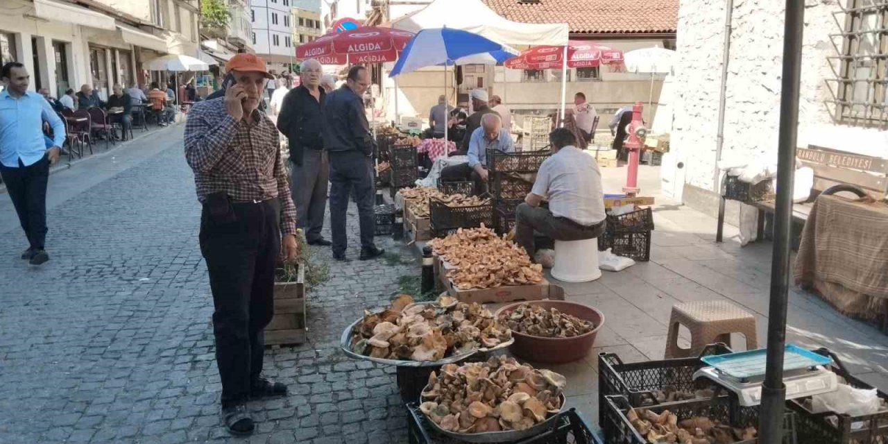 Kasa kasa mantarda fiyatlar düştü