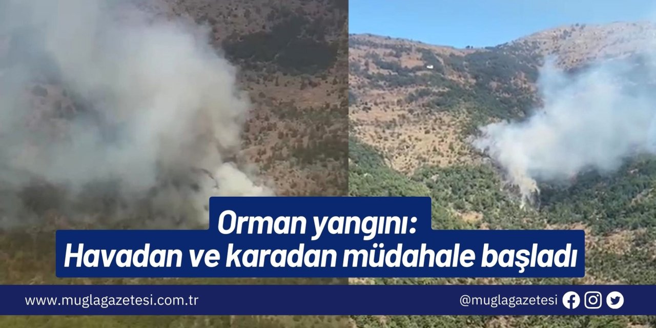 Orman yangını: Havadan ve karadan müdahale başladı