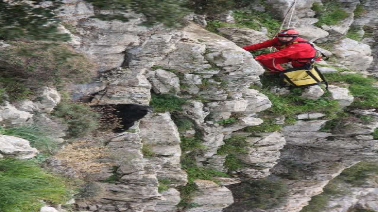 Dağda mahsur kalan keçiler için seferber oldular