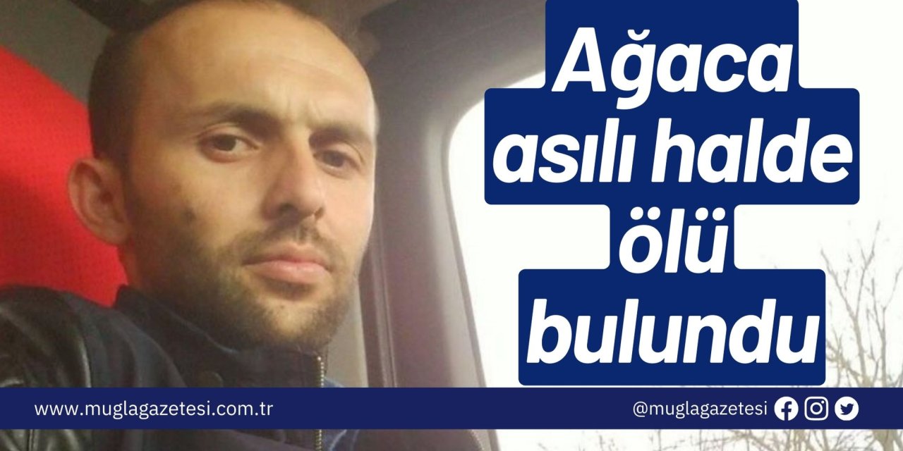 Ağaca asılı halde ölü bulundu