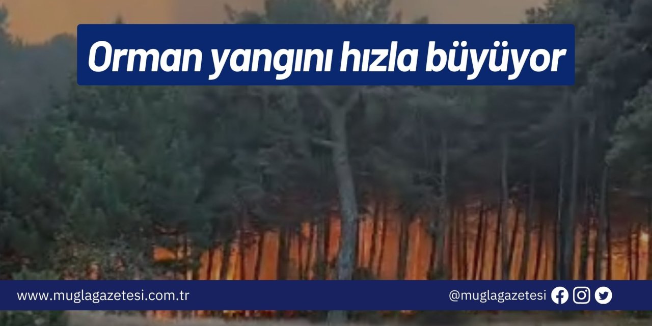 Orman yangını hızla büyüyor