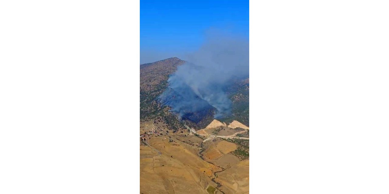 Bir orman yangını daha!