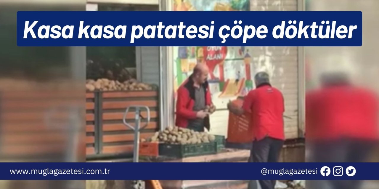 Kasa kasa patatesi çöpe döktüler