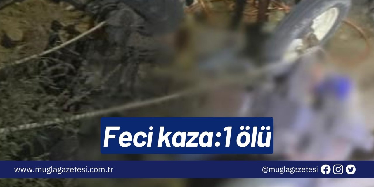 Feci kaza: 1 ölü