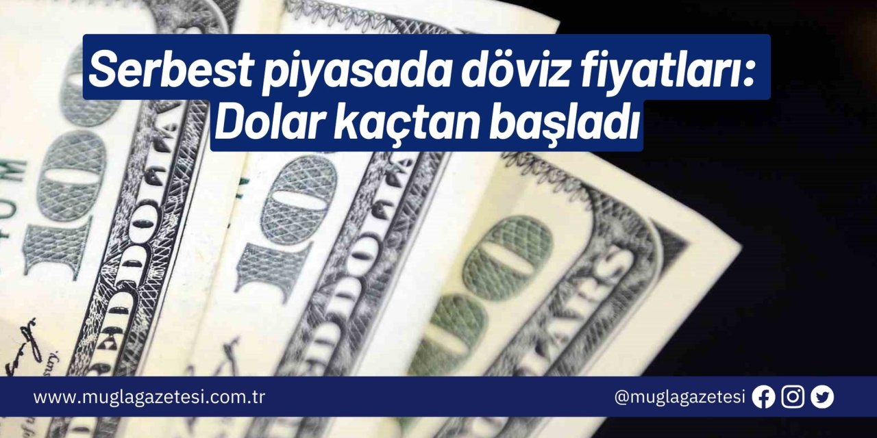 Serbest piyasada döviz fiyatları: Dolar kaçtan başladı