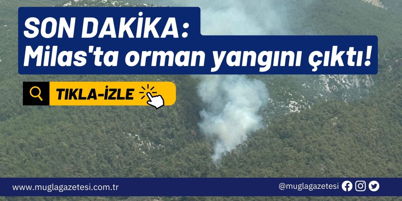 SON DAKİKA: Milas'ta orman yangını çıktı!