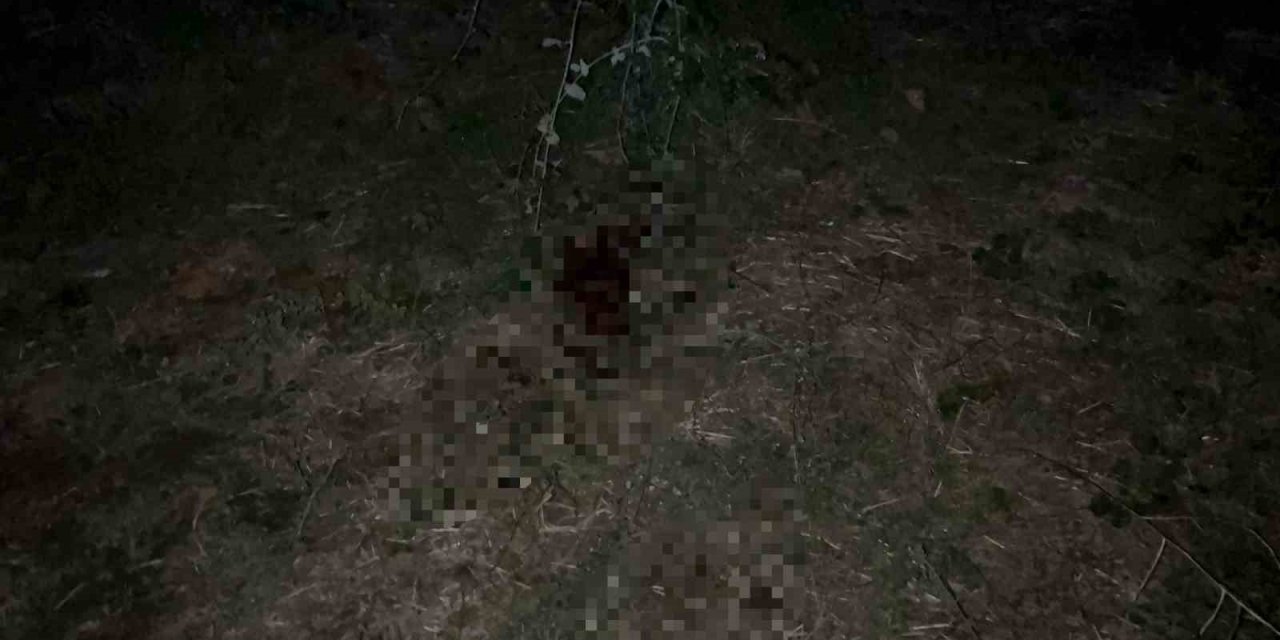 Gençler arasındaki çıkan kavganın sonu ölümle bitti