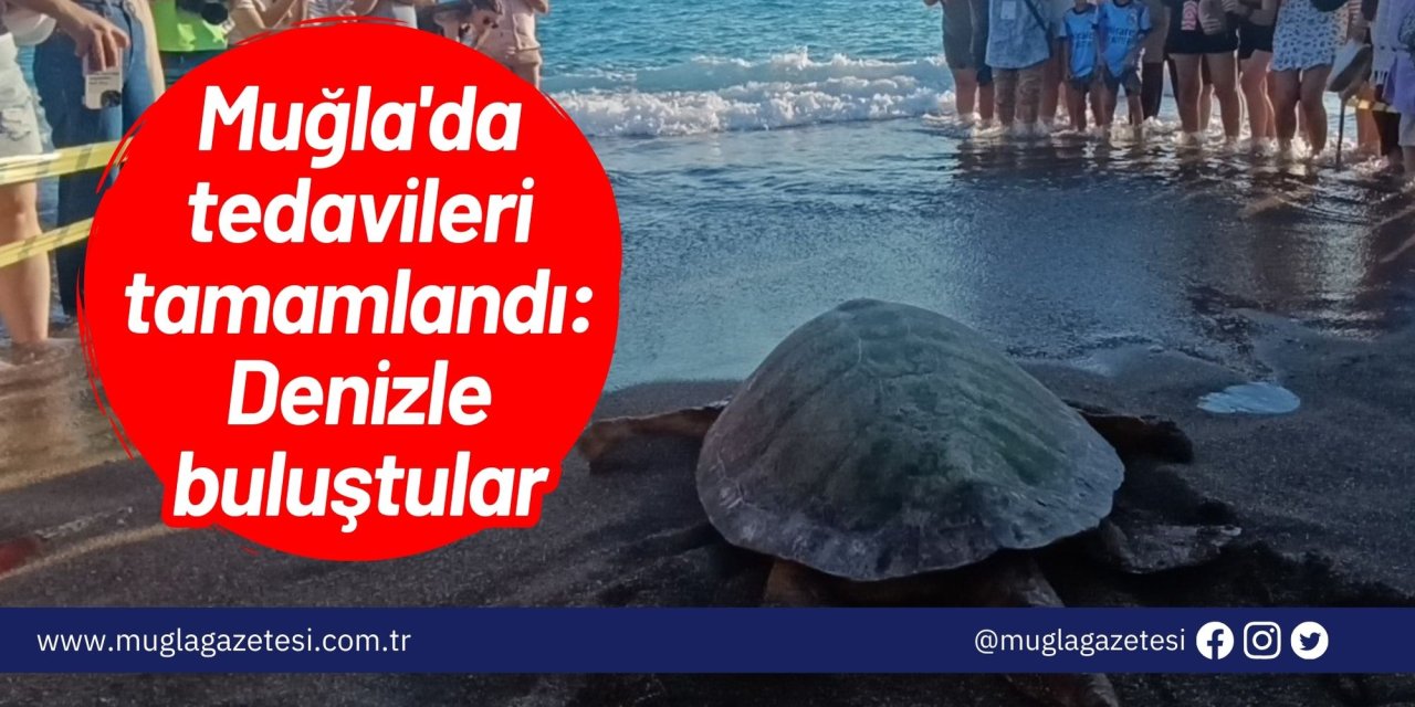 Muğla'da tedavileri tamamlandı: Denizle buluştular