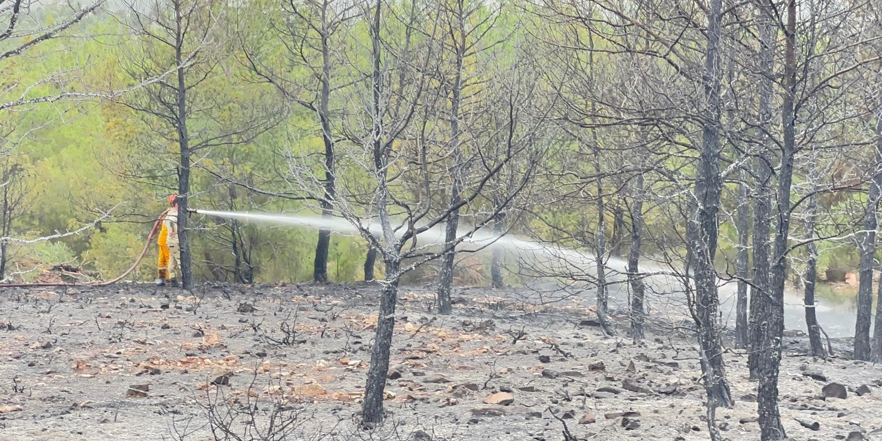 Milas’ta 48 hektar alan yandı