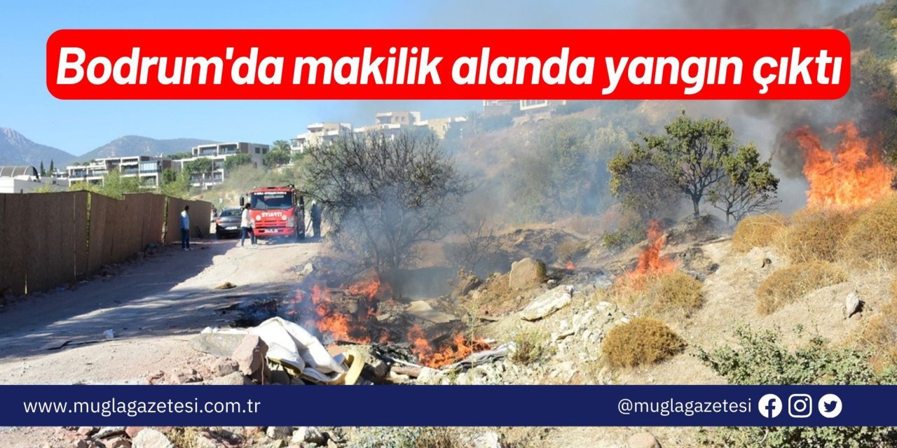 Bodrum'da makilik alanda yangın çıktı