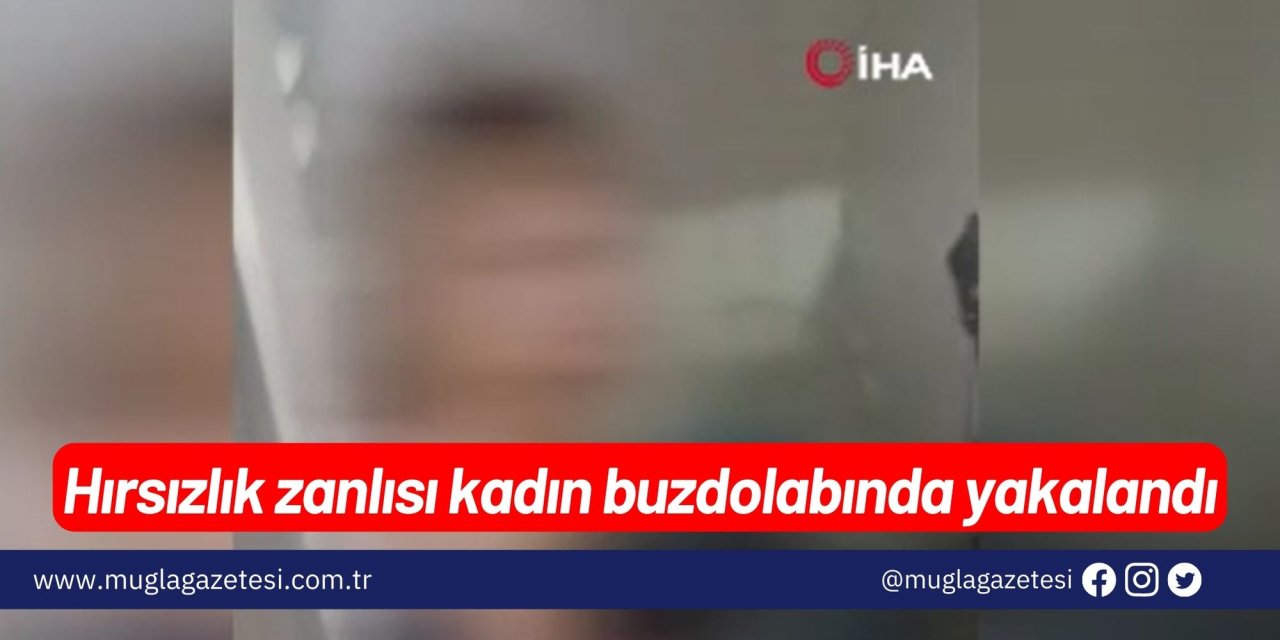 Hırsızlık zanlısı kadın buzdolabında yakalandı