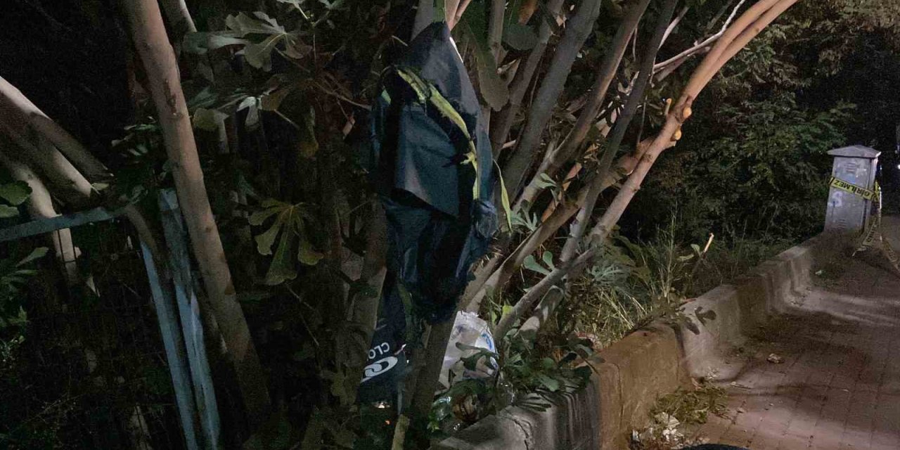 Ağaca asılı olan şüpheli paket panik yarattı