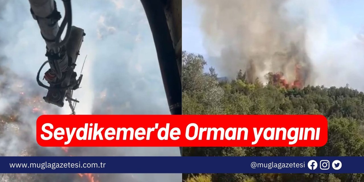 Seydikemer'de Orman yangını