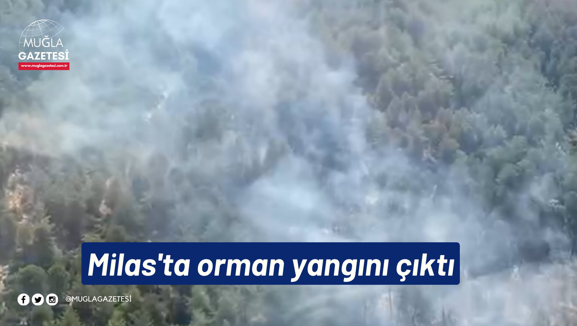 Muğla Milas'ta orman yangını çıktı