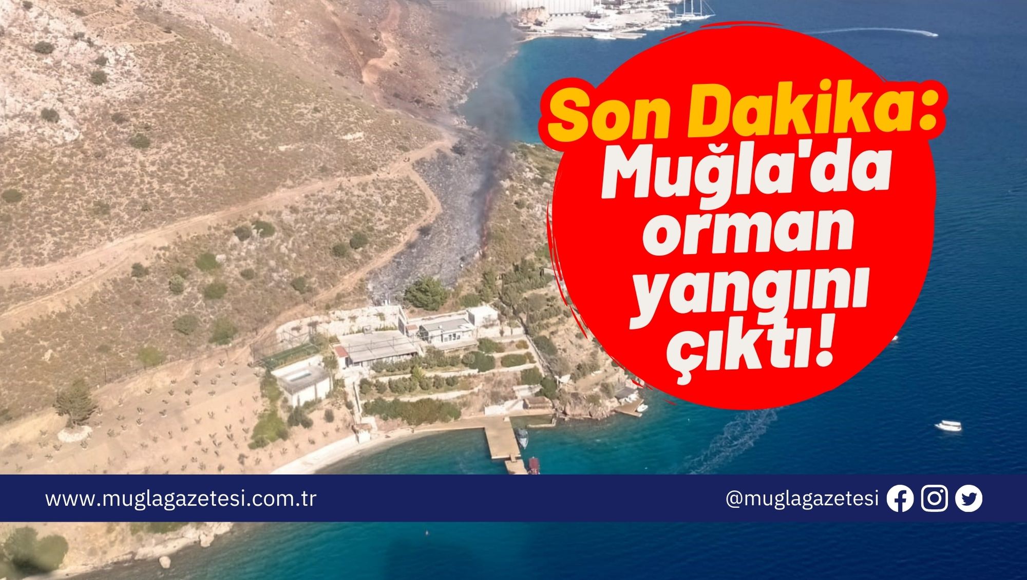 Son Dakika: Muğla'da orman yangını çıktı!