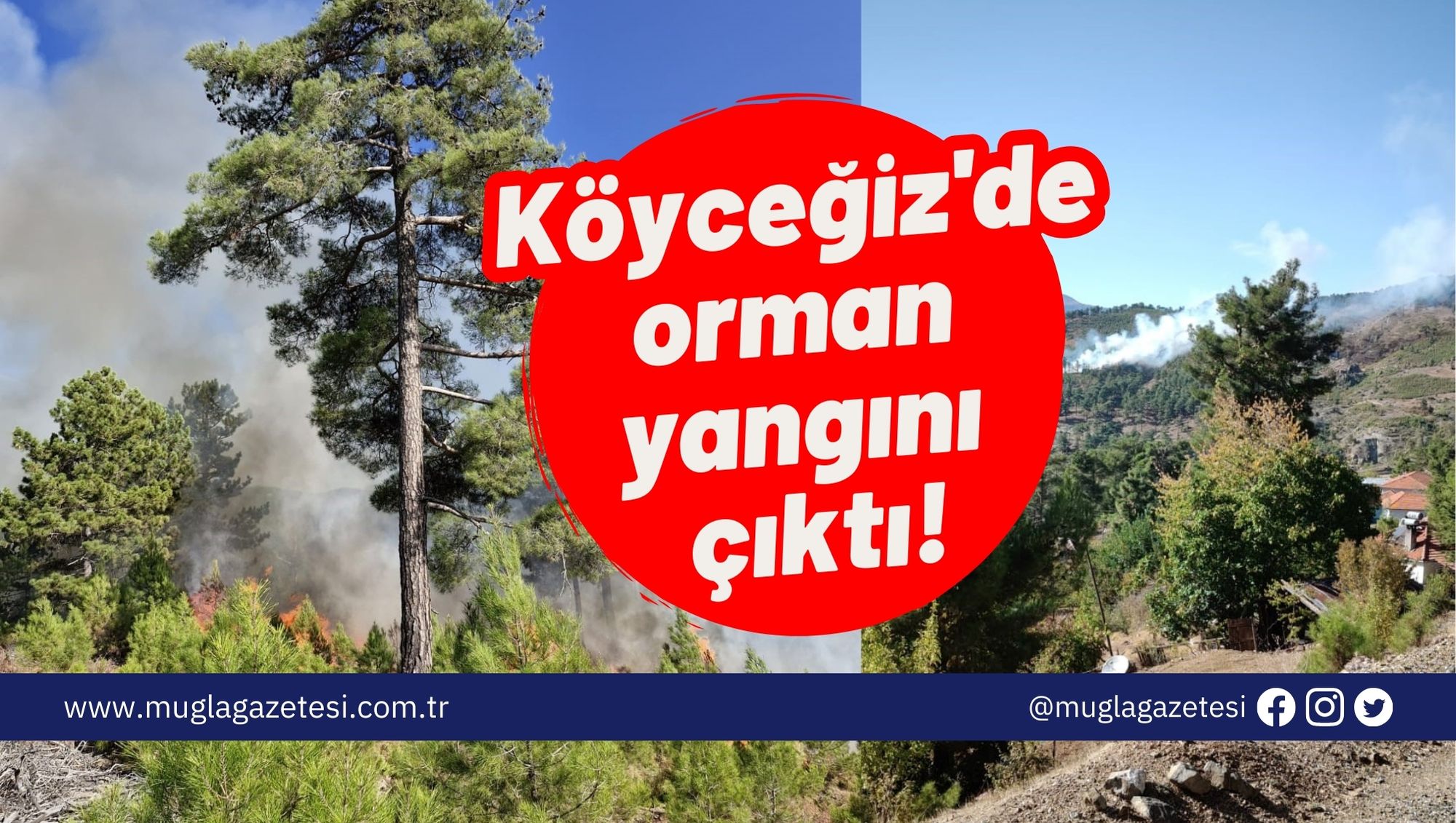 SON DAKİKA: Köyceğiz'de orman yangını çıktı!