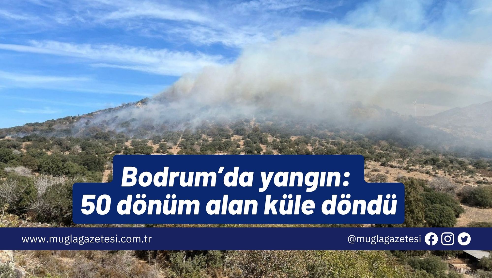 Bodrum’da yangın: 50 dönüm alan küle döndü
