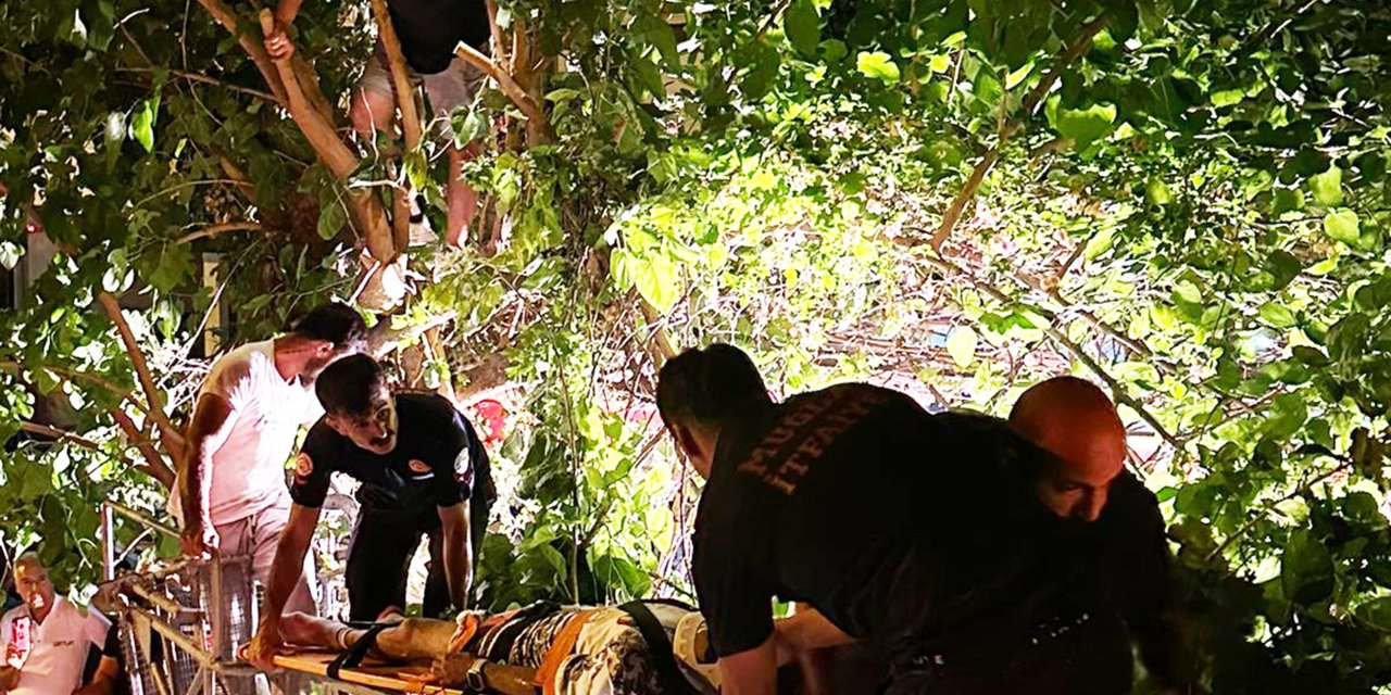 Muğla’da feci kaza: 5 metrelik ağaçta asılı kaldı