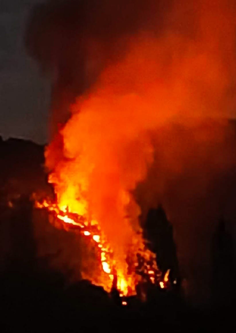 Ortaca'da Orman Yangını Başladı