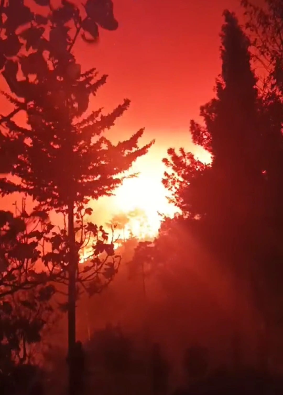 Vali Akbıyık yangın bölgesinde