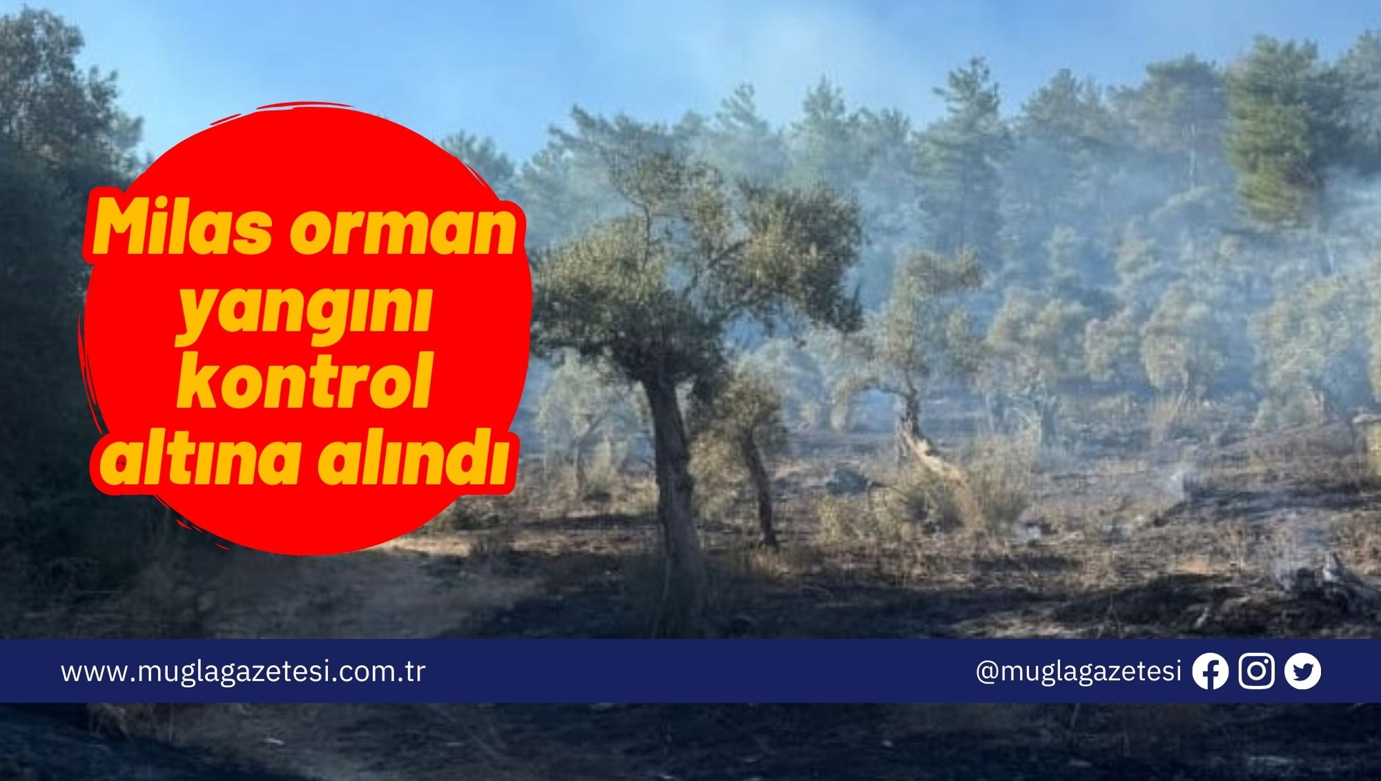 Milas orman yangını kontrol altına alındı