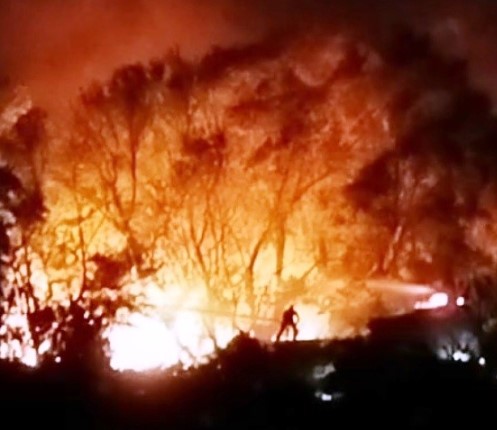 Köyceğiz’de orman yangını