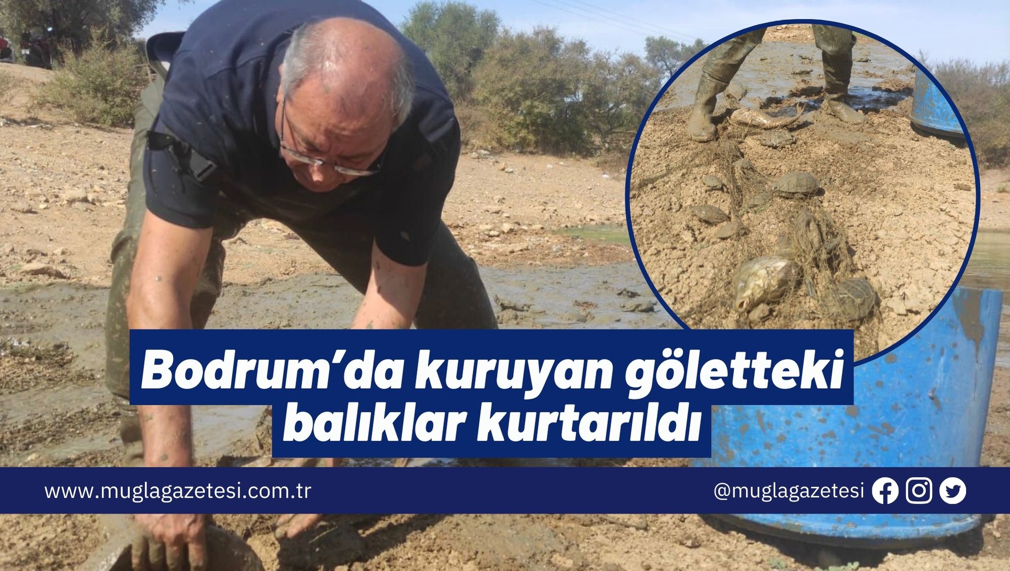 Bodrum’da kuruyan göletteki balıklar kurtarıldı