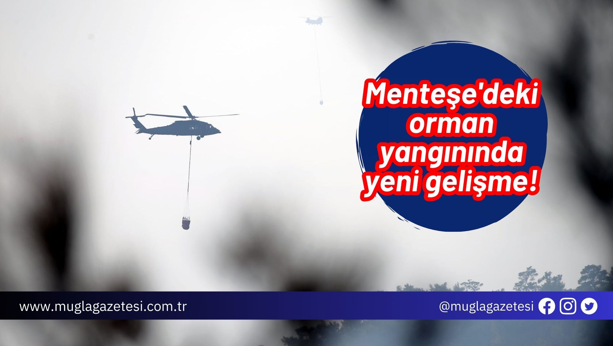 Menteşe'deki orman yangınında yeni gelişme!