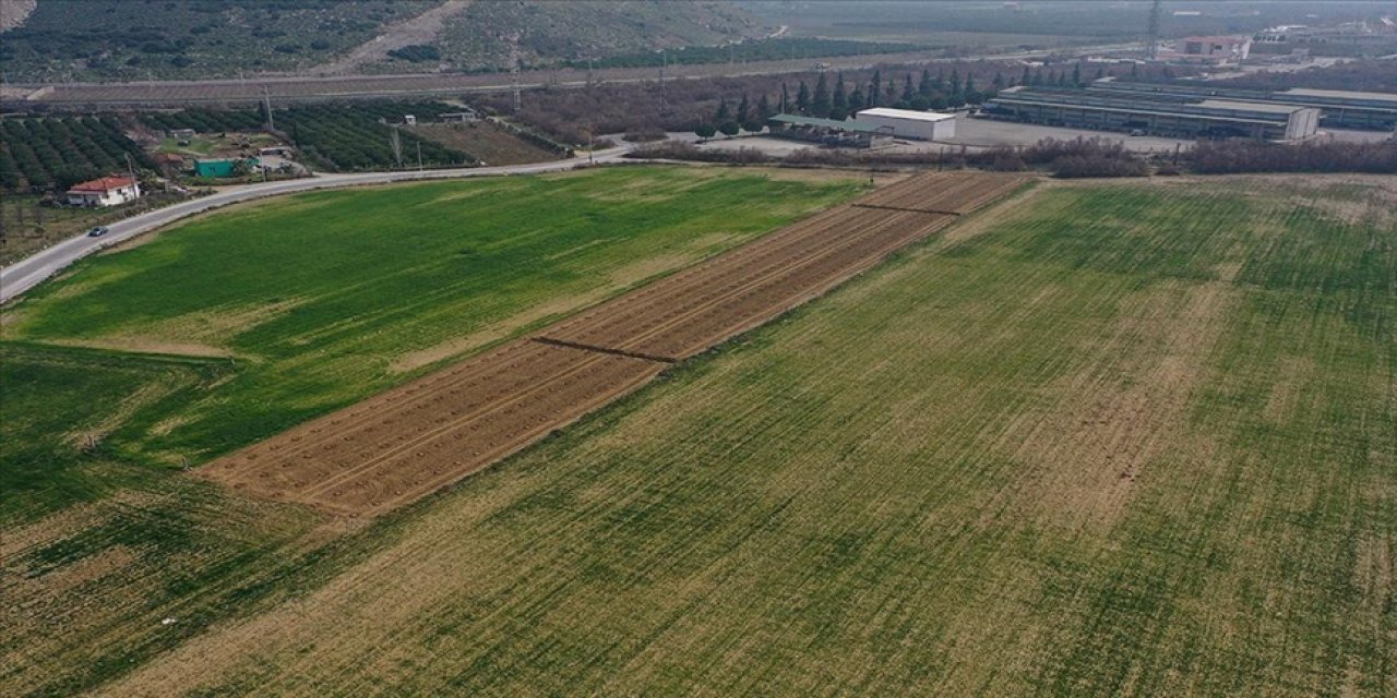 Ege'de yağışlar azaldı: Tarımsal üretim tehlikede