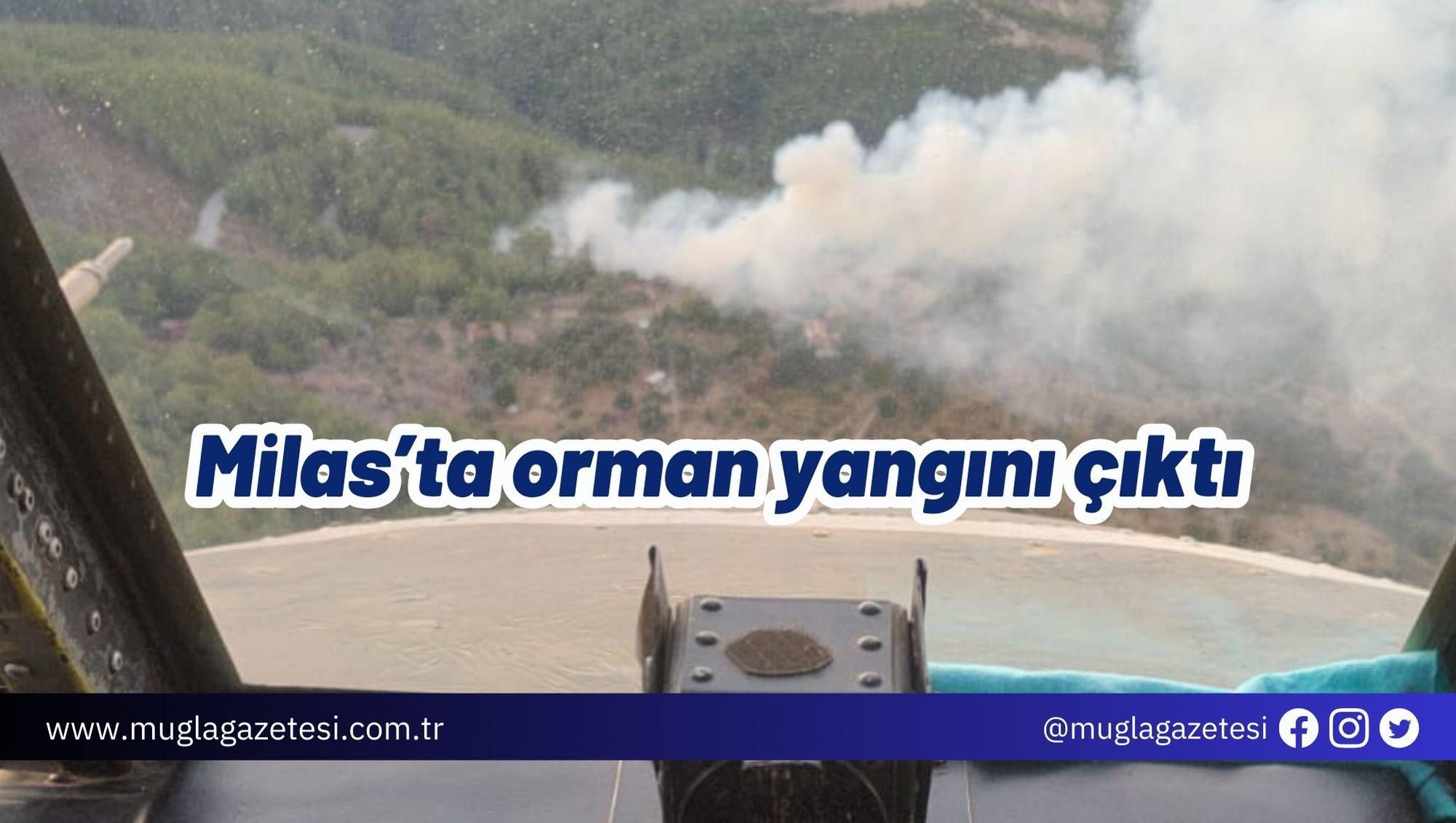 Milas’ta orman yangını çıktı