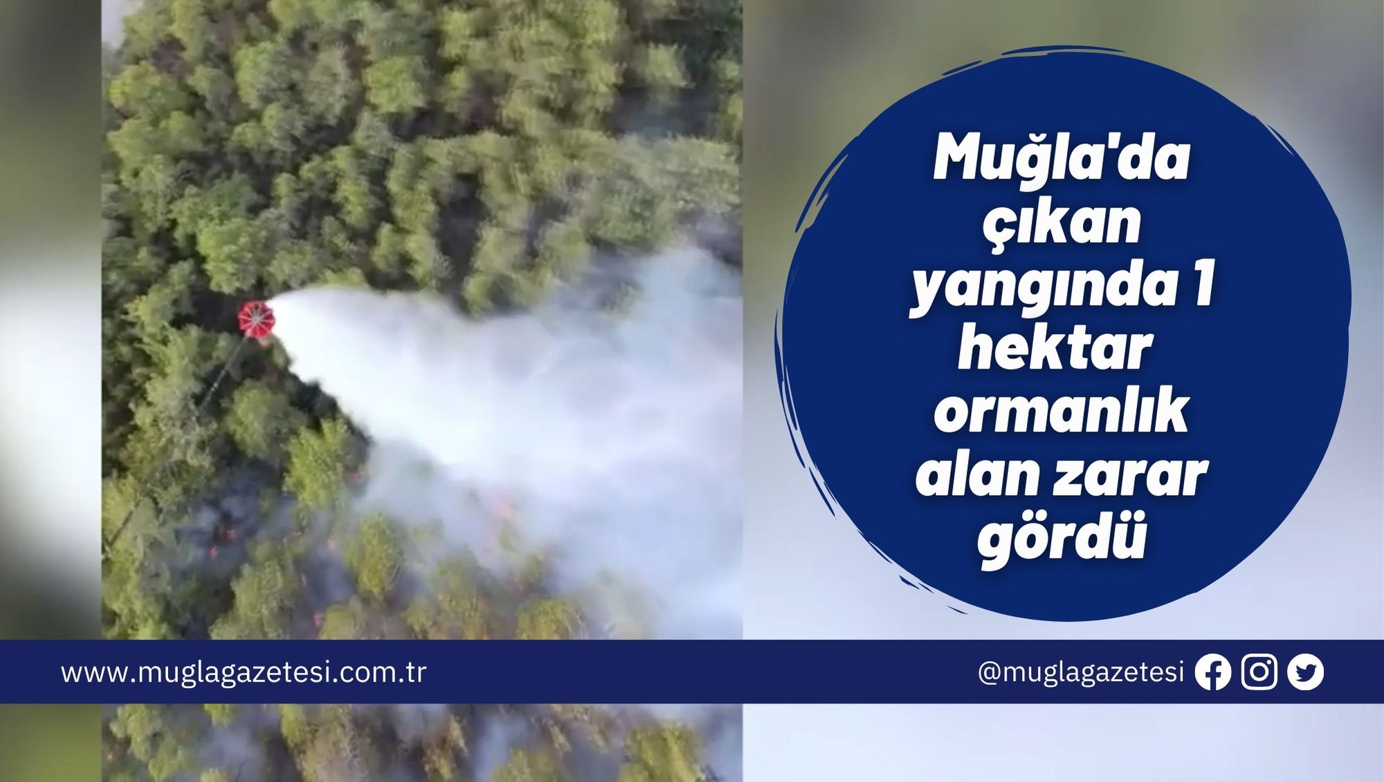 Muğla'da çıkan yangında 1 hektar ormanlık alan zarar gördü